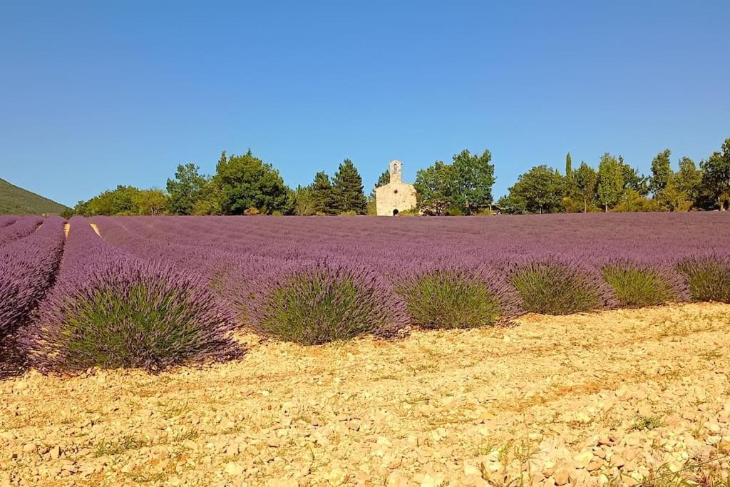 Mazet En Provence Pour 4, Piscine Chauffee Privee, Jardin Clos Prive, Barbecue, Chiens Admis Sainte-Jalle Exterior foto